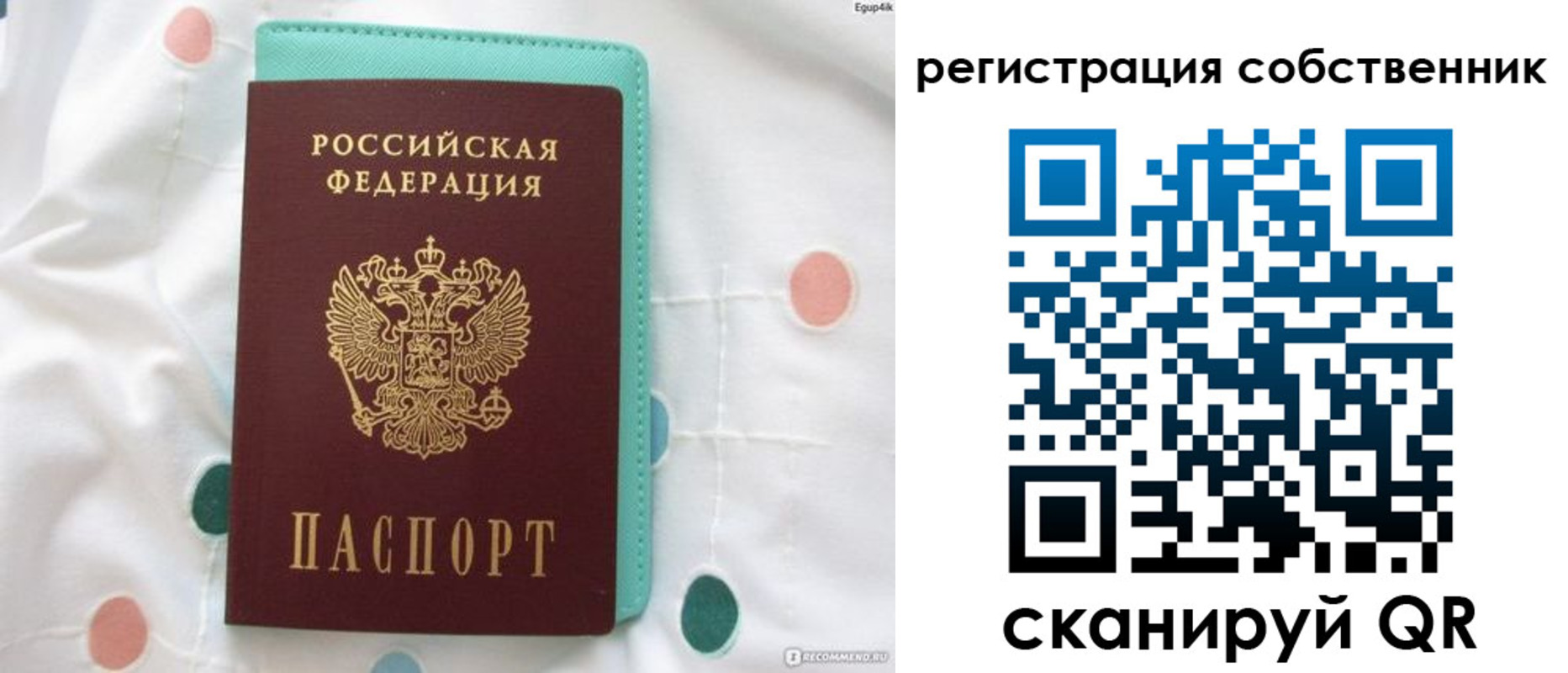 прописка для школы в Александрове